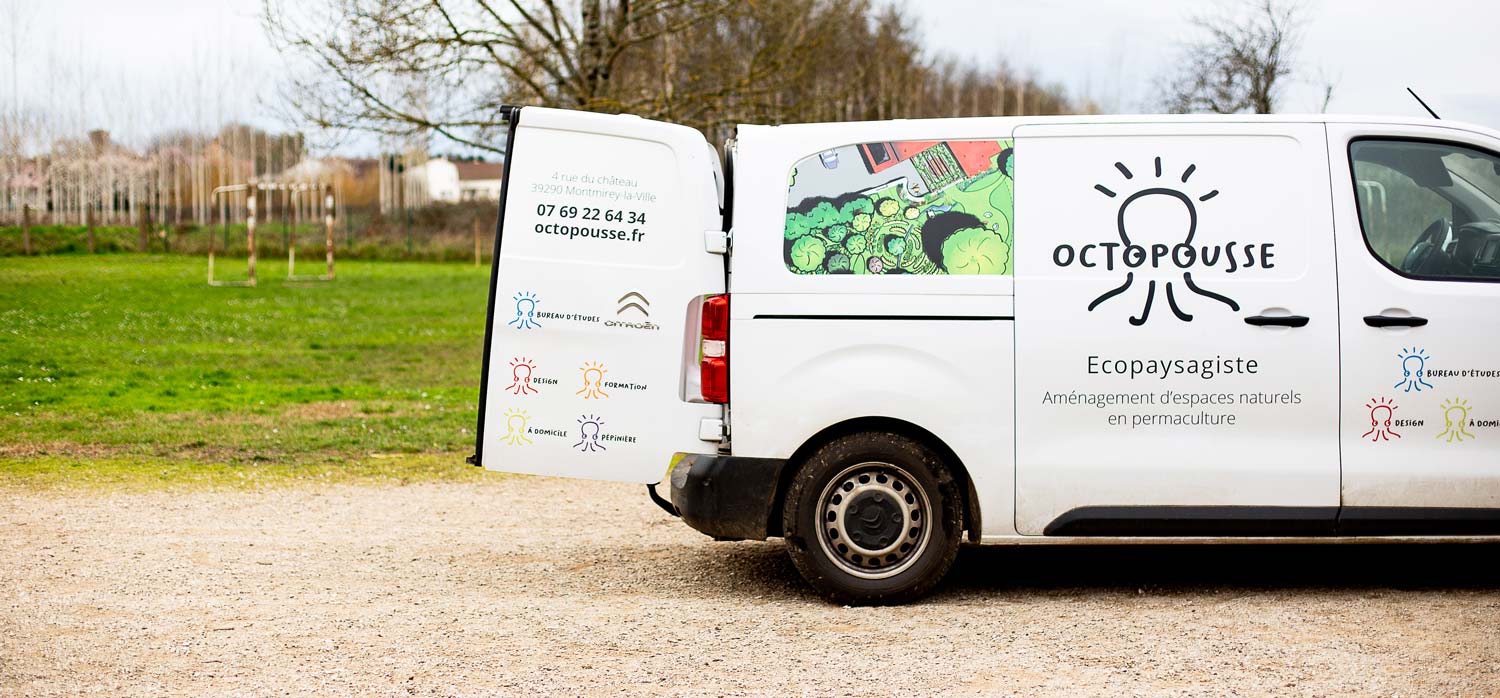 Octopousse intervention paysagiste