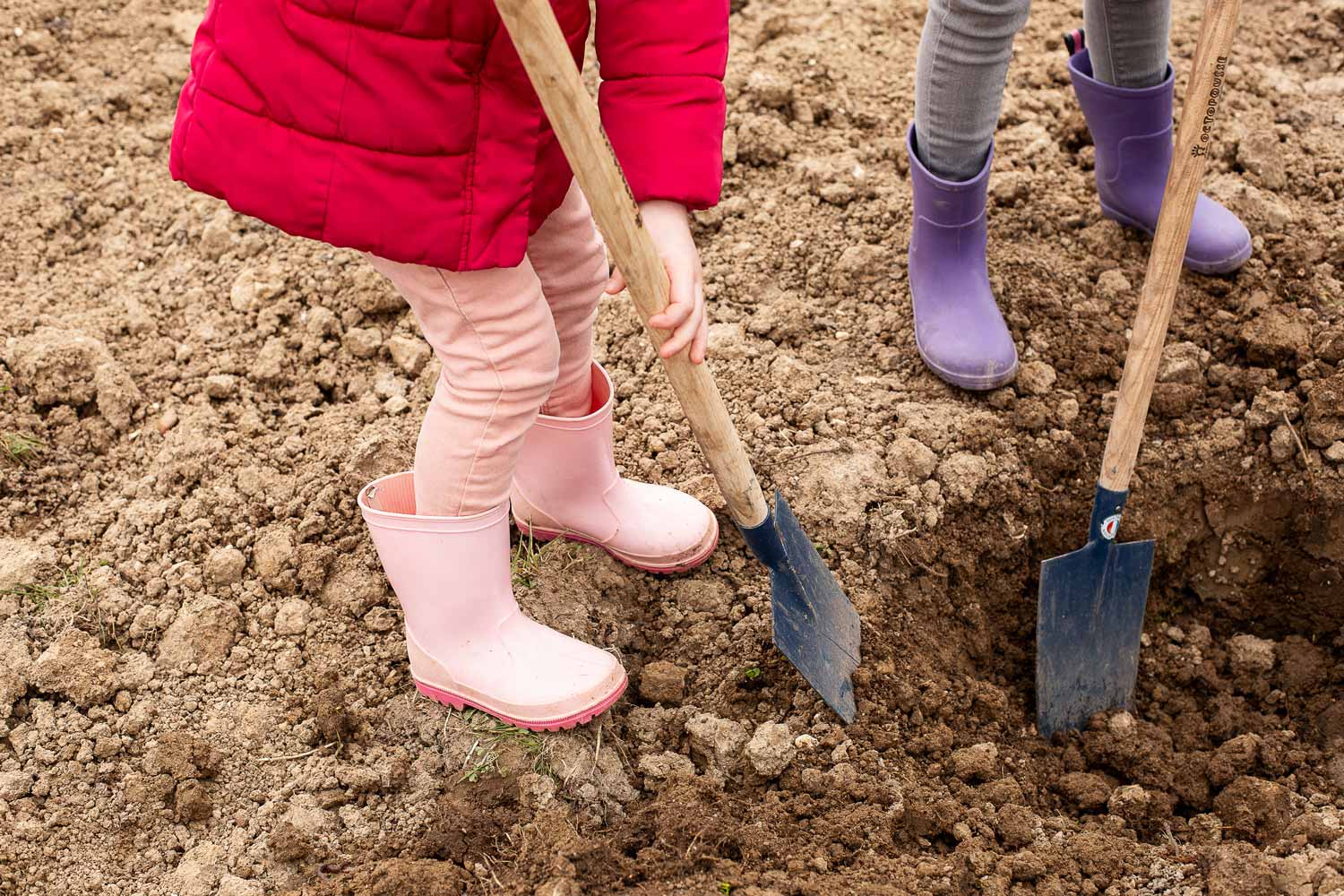 Le paysagisme durable et permaculture