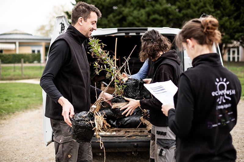 suivi plantations et réalisation travaux