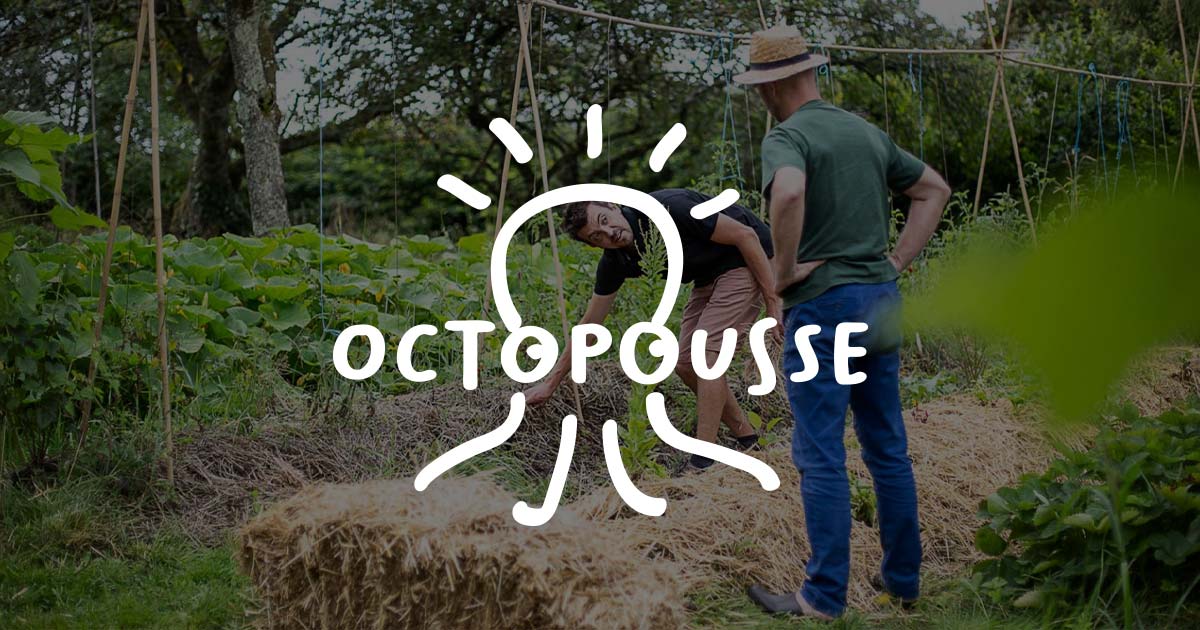 Octopousse logo
