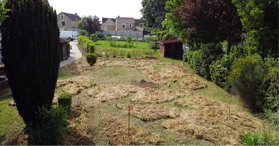 Projet Aménagement d'un terrain en forêt-jardin