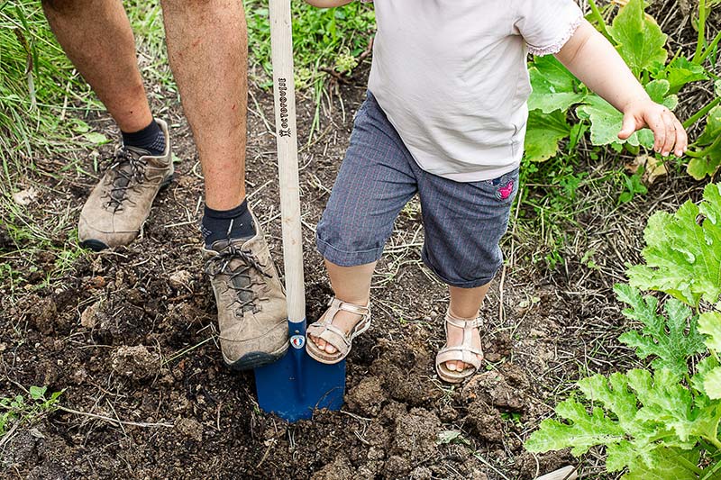 écopaysagisme pour écoles, plantations enfants