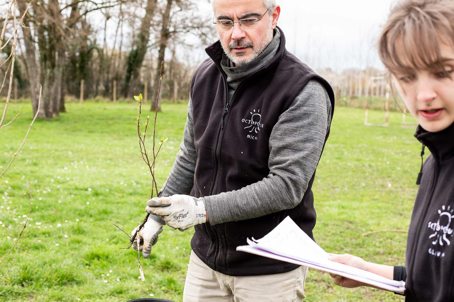 Étude d'aménagement paysager en permaculture