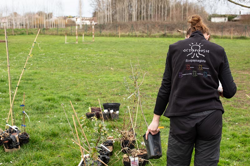 Octopousse, plantation et écopaysagisme